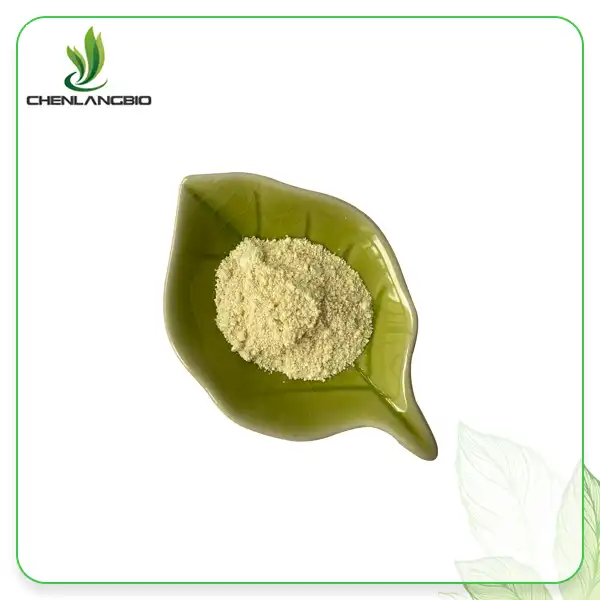 Sunflower Lecithin Pure Powder Sunflower Lecithin Pure Powder